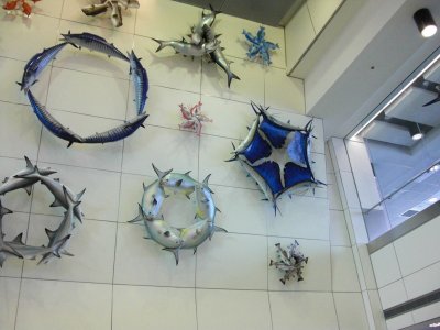 Fish wheels 1